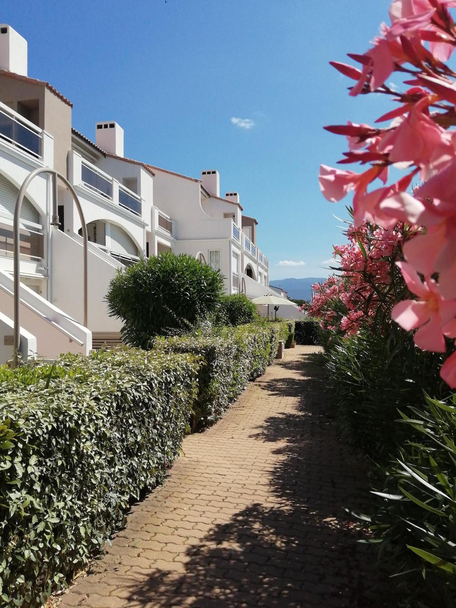 Vue Lagune Et Bateaux A 100M De La Plage Saint-Cyprien Kültér fotó